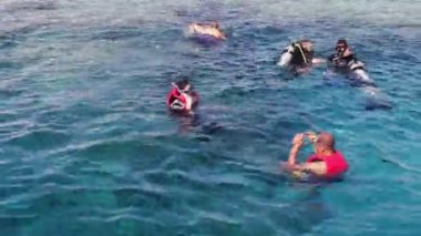 Sharm el-Sheikh, Mısır - 6 Aralık 2016: aqualung dalgıç dalış ve deniz dibinin snorkel hazırlanın.