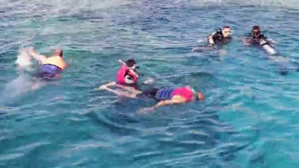 Sharm el-Sheikh, Egito - 6 de dezembro de 2016: mergulhadores em aqualung se preparam para mergulhar e mergulhar no fundo do mar . — Vídeo de Stock
