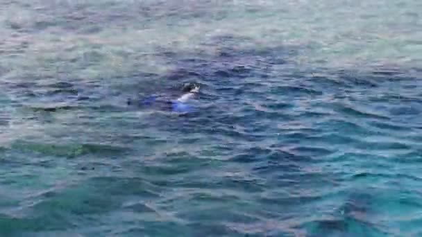 Buceador con buceo y aletas nadando bajo el agua — Vídeo de stock