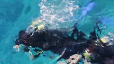 Sharm el-Sheikh, Mısır - 6 Aralık 2016: aqualung dalgıç dalış deniz yatağı üzerinde hazırlanın.