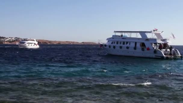 Sharm el-Sheikh, Ägypten - 6. Dezember 2016: weiße Reiseyachten, die in den Wellen schwanken. — Stockvideo