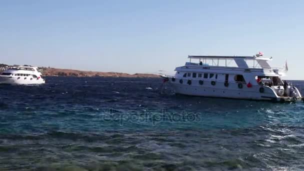 Sharm el-Sheikh, Egito - 6 de dezembro de 2016: viajar iates brancos balançando nas ondas . — Vídeo de Stock