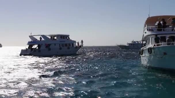 Sharm el-Sheikh, Ägypten - 6. Dezember 2016: weiße Reiseyachten, die in den Wellen schwanken. — Stockvideo