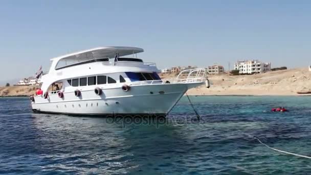 Sharm el-Sheikh, Egitto - 6 dicembre 2016: viaggi yacht bianchi ondeggianti tra le onde . — Video Stock