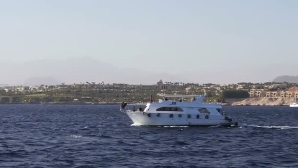 Travel white yachts swaying in the waves. — Stock Video