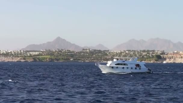 Reise weiße Yachten schwanken in den Wellen. — Stockvideo