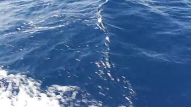 Μπλε θαλασσινό νερό περνώντας θέα από ένα κινούμενο σκάφος — Αρχείο Βίντεο