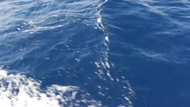 Blaues Meerwasser, Blick von einem fahrenden Boot — Stockvideo