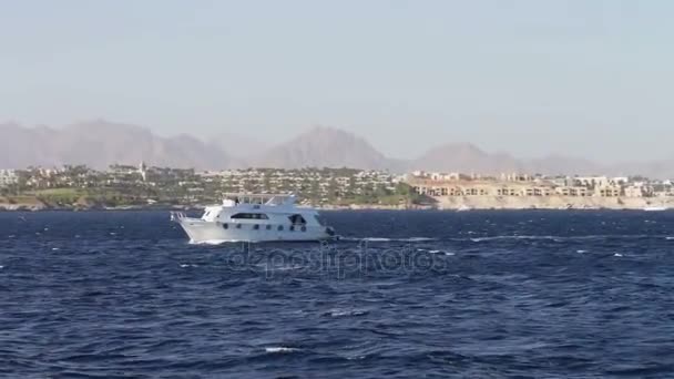 Barco à vela no Mar Vermelho — Vídeo de Stock