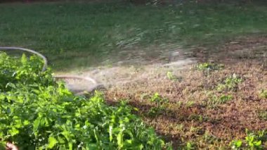 Bahçede püskürtme su fıskiye