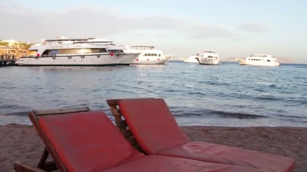 Sharm el-Sheikh, Sharks Bay, Mısır - 30 Kasım 2016: plaj sandalye Yelkenli Yatlar zemin üzerine deniz kenarında — Stok video