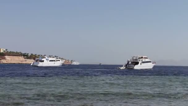 Agua de mar limpia y hermosa costa con flotador barcos blancos — Vídeo de stock