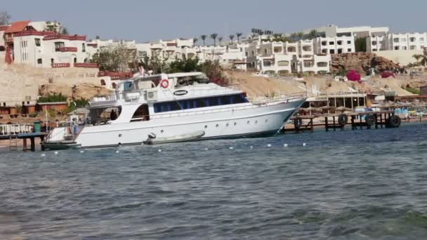 Sharm el-Sheikh, Sharks Bay, Egipto - 30 de noviembre de 2016: Paseo en yate blanco deja pasajeros — Vídeo de stock