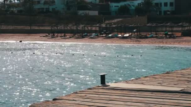 Paisaje marino con muelle de madera — Vídeos de Stock