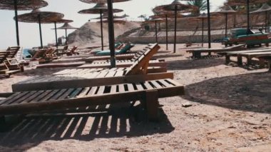 Red Sea'deki/daki plaj şemsiyeleri