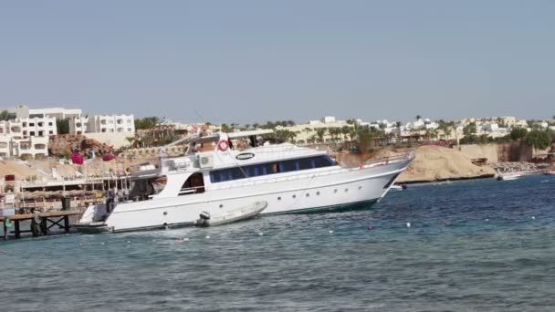 Sharm el-Sheikh, Sharks Bay, Egipto - 30 de noviembre de 2016: Paseo en yate blanco deja pasajeros — Vídeos de Stock