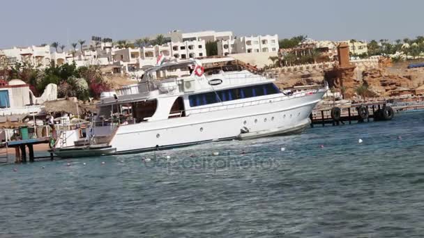 Sharm el-Sheikh, Sharks Bay, Egipto - 30 de noviembre de 2016: Paseo en yate blanco deja pasajeros — Vídeo de stock