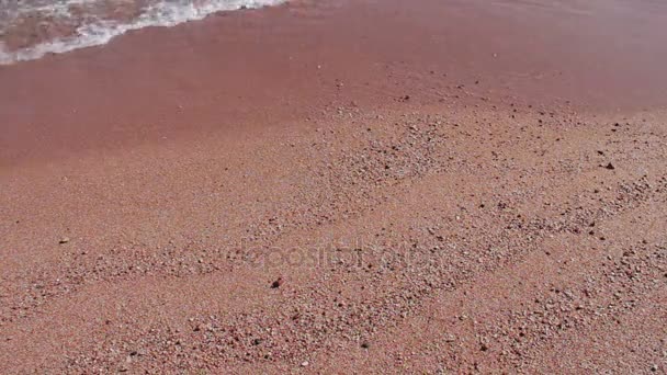 Playa tropical con mar azul — Vídeos de Stock