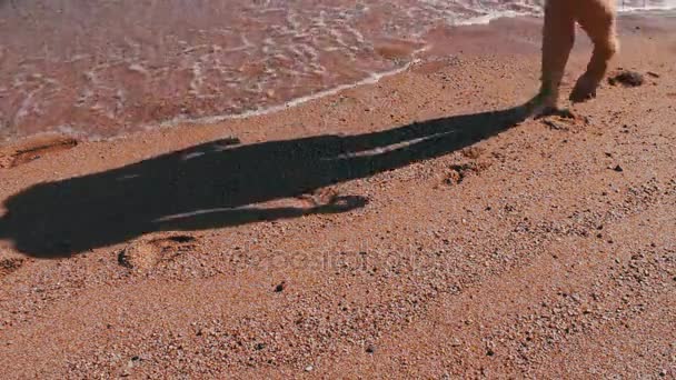 Flicka fötter lämna fotspår på stranden — Stockvideo