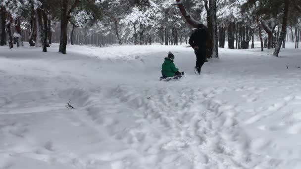 Morfar rullar sitt lilla barnbarn av skogen snörik vinter på en kälke — Stockvideo