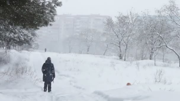 Floresta estrada coberta de neve em que as pessoas vão — Vídeo de Stock