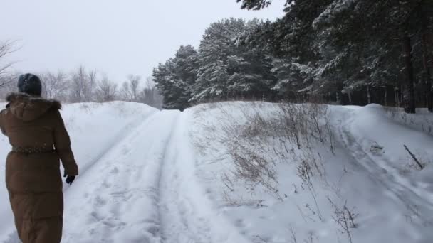 Dziewczyna w długi brązowy płaszcz idzie na drodze pokrytej śniegiem lasu w zimie — Wideo stockowe