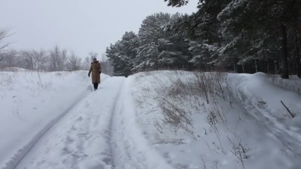 Uma menina em um casaco marrom longo caminha em um caminho florestal coberto de neve no inverno — Vídeo de Stock