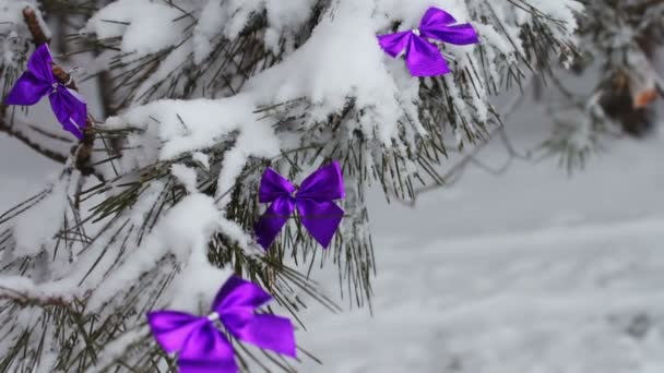 Forêt enneigée décorée avec rubans lilas — Video