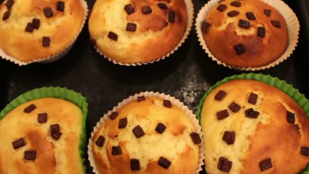 Viele Muffins gehobelt — Stockvideo