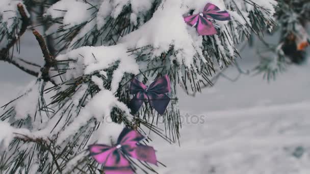 Árbol de bosque nevado decorado con cintas lila — Vídeo de stock