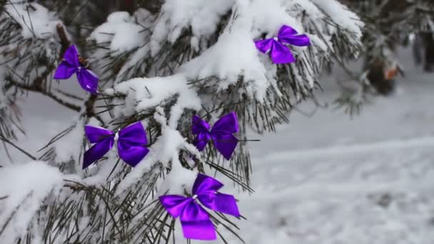 Украшенное снежным лесом дерево с лиловыми лентами — стоковое видео