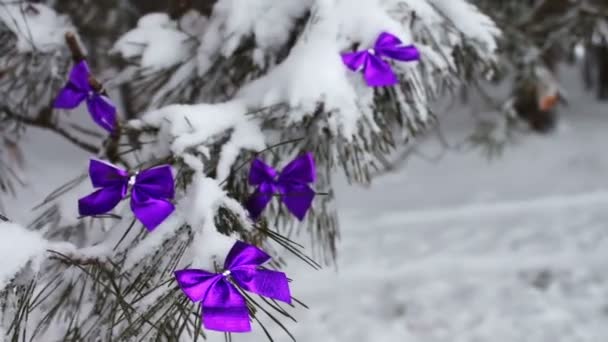 Floresta nevada decorada com fitas lilás de árvore — Vídeo de Stock