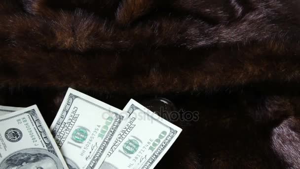 Kürk manto ve yüz dolarlık banknot — Stok video