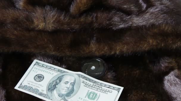 Manteau de fourrure et billets de cent dollars — Video