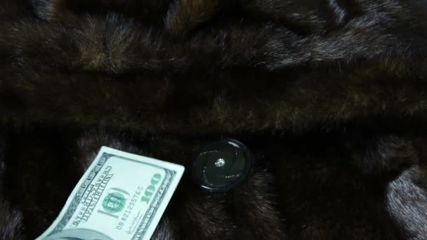 Manteau de fourrure et billets de cent dollars — Video