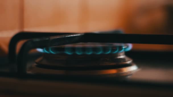 Llamas azules ardientes de una estufa de gas — Vídeo de stock