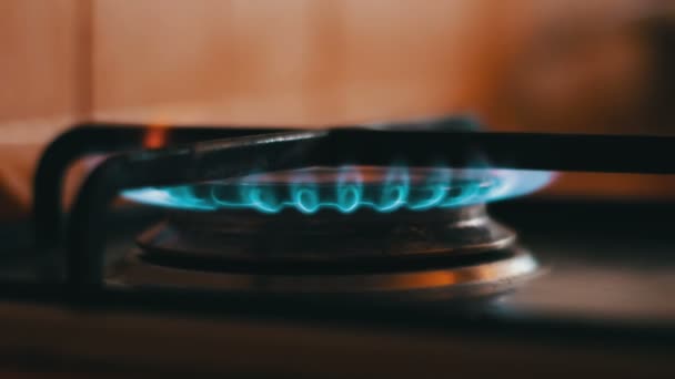 Bruciare fiamme blu di una stufa a gas — Video Stock