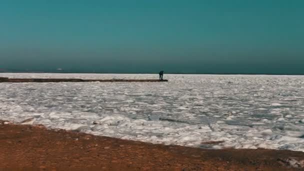 Buz kaplı deniz üzerinde oturan martılar — Stok video