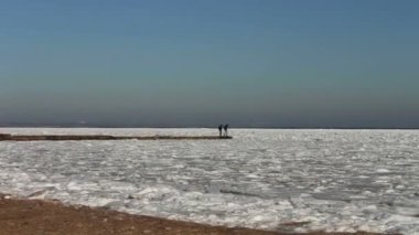 Buz kaplı deniz üzerinde oturan martılar