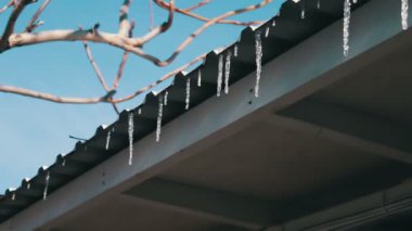 Bir çatı üzerinde eriyen buz sarkıtları
