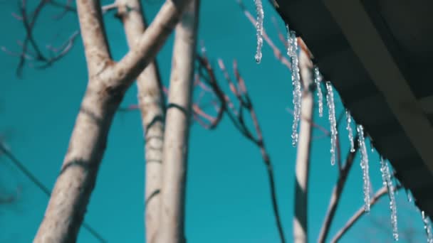 Bir çatı üzerinde eriyen buz sarkıtları — Stok video