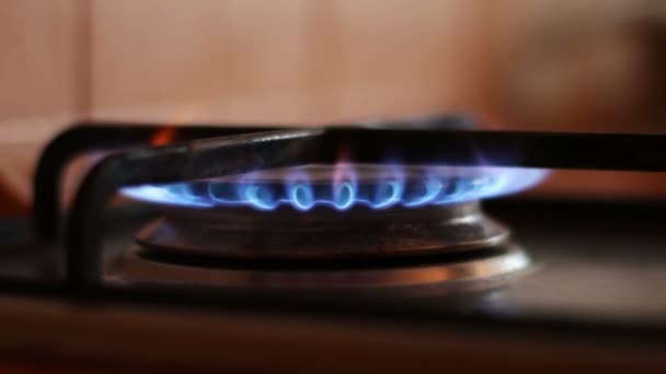 Bir gaz sobası, mavi alev yanan — Stok video