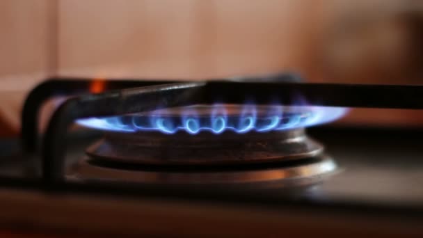 Burning blue flames of a gas stove — Stock Footage Burning blue flames of a gas stove Video Clip