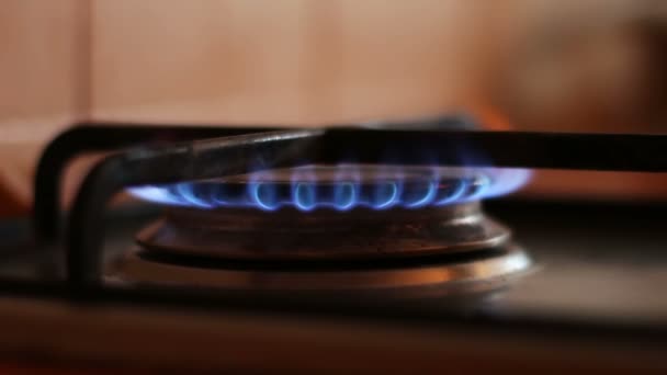 Bir gaz sobası, mavi alev yanan — Stok video