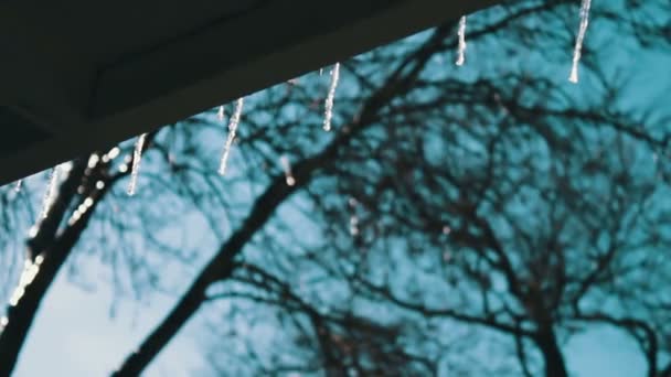 Beaucoup de glaçons fondants sur un toit — Video