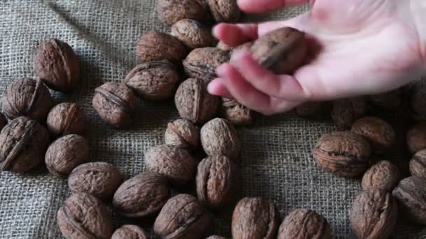 Lot of ripe walnuts with peel — Stock Video