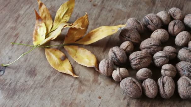 Rijpe walnoten in een peel — Stockvideo