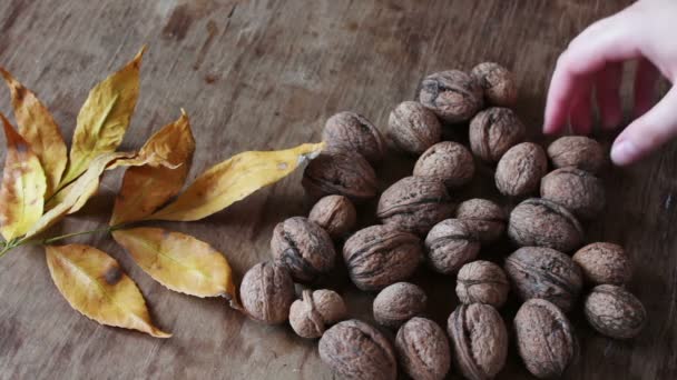 Rijpe walnoten in een peel — Stockvideo