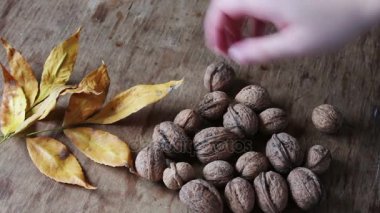 bir kabuğu içinde olgunlaşmış ceviz