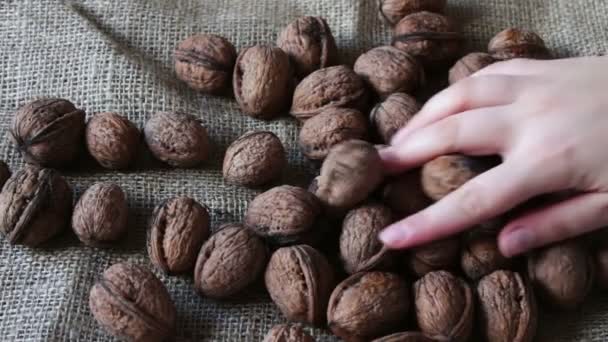 Hodně zralé vlašské ořechy se slupkou — Stock video